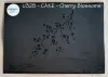 ibicci Cherry Blossom stencil - for Cakes